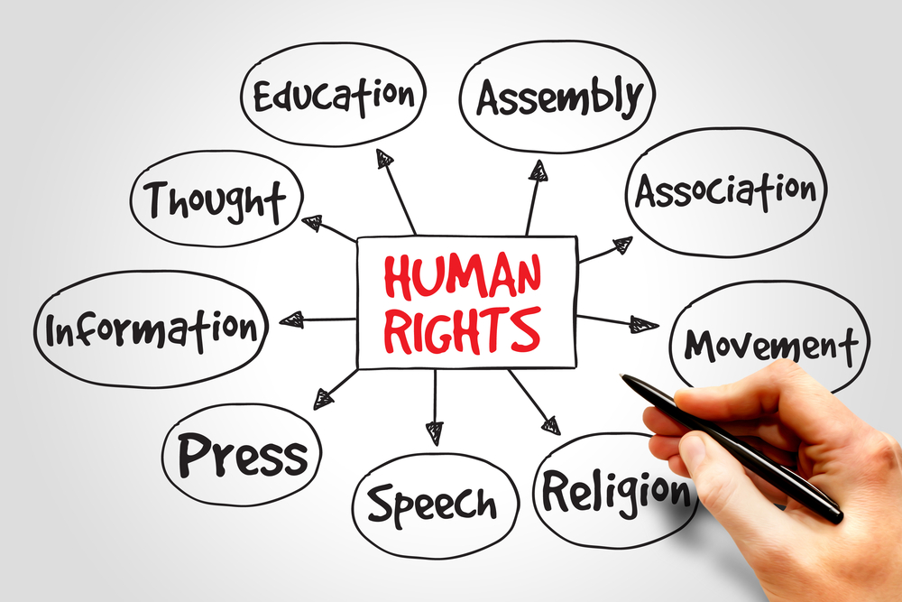 Human Rights & Discrimination Lawyers in Alberta